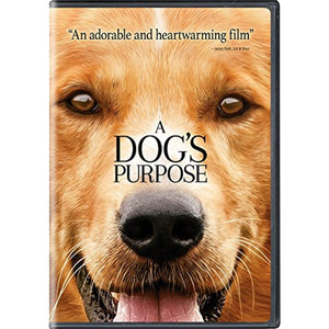 A Dog's Purpose DVD